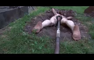 Wszystkiego darmowe sex filmy youtube najlepszego dla moich uczniów