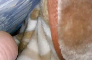 Żona darmowe filmy erotyczne wytryski kobiet POV